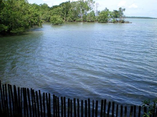 Sungei Buloh Wetland Reserve