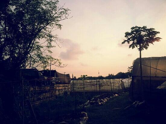 Fire Flies Health Farm